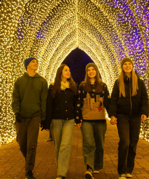 Lightscape at the Chicago Botanic Garden