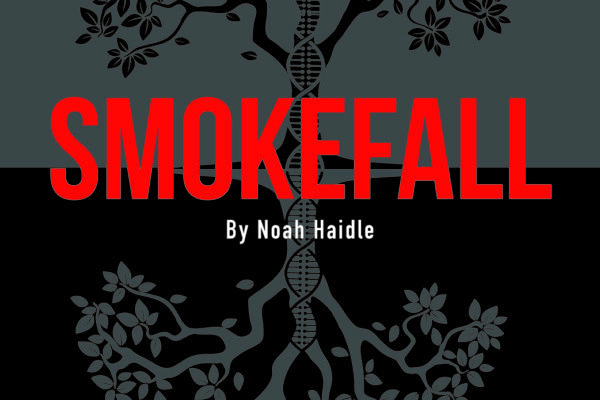 Wild Door Theater Makes Its Chicago Debut With “Smokefall” at Theater Wit