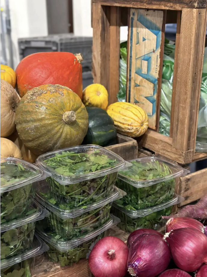 Screenshot 2025-11-17 at 1.49.46 PM