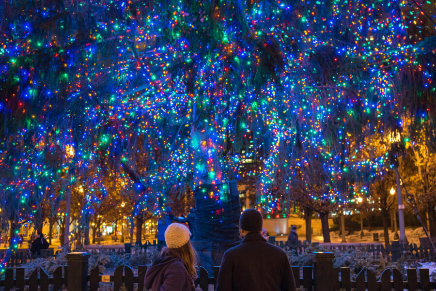 Two travelers take in a view of the City of Chicago Christmas Tree in Millennium Park at night.
