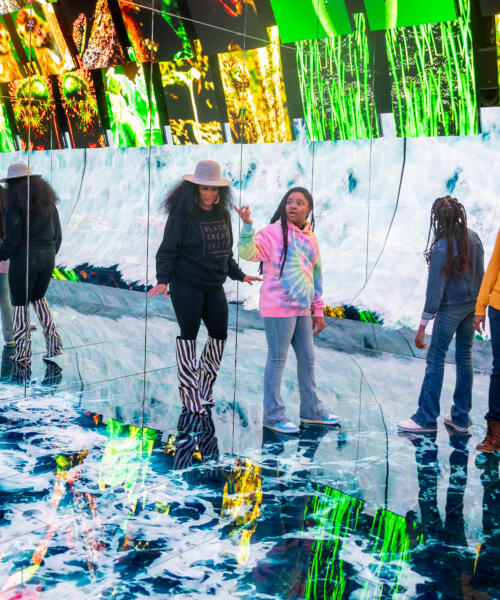 Museum of Science and Industry in Chicago's Hyde Park neighborhood