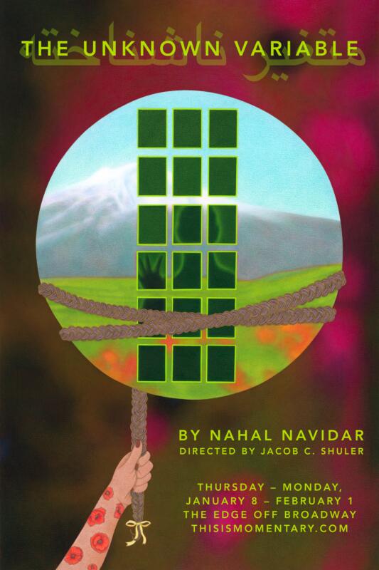 The Unknown Variable by Nahal Navidar