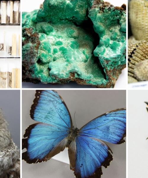 Founders Day Celebration