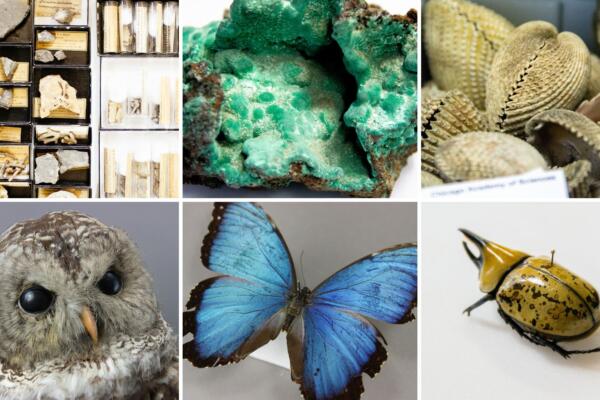 Founders Day Celebration