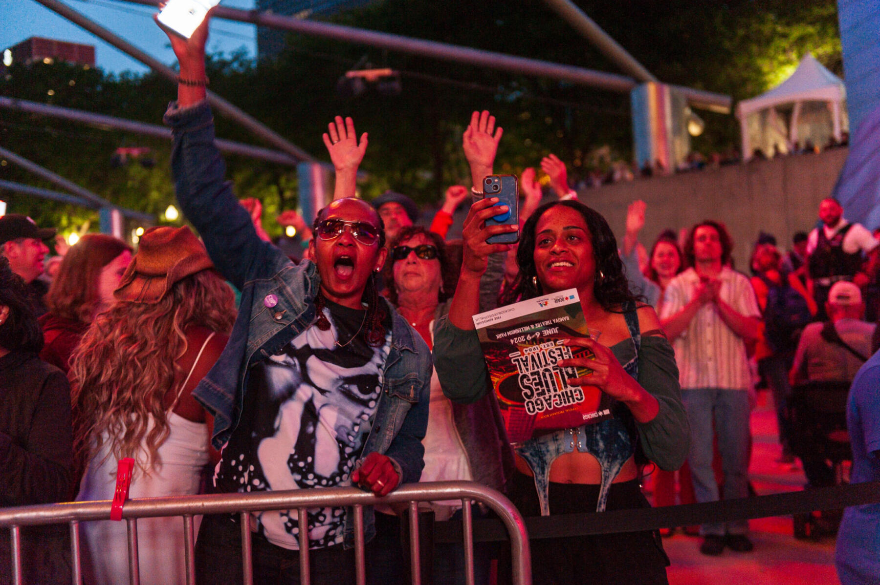 Crowd at Chicago Blues Fest