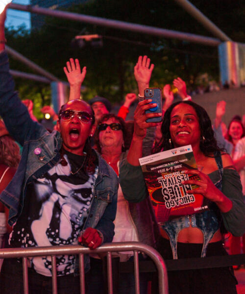 Crowd at Chicago Blues Fest
