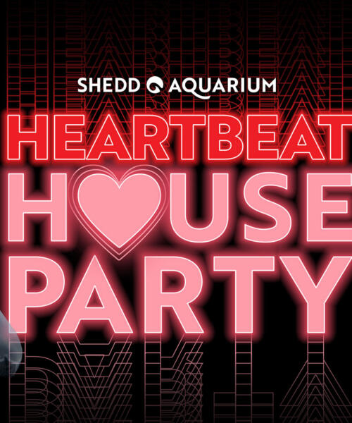 Heartbeat House Party at Shedd Aquarium
