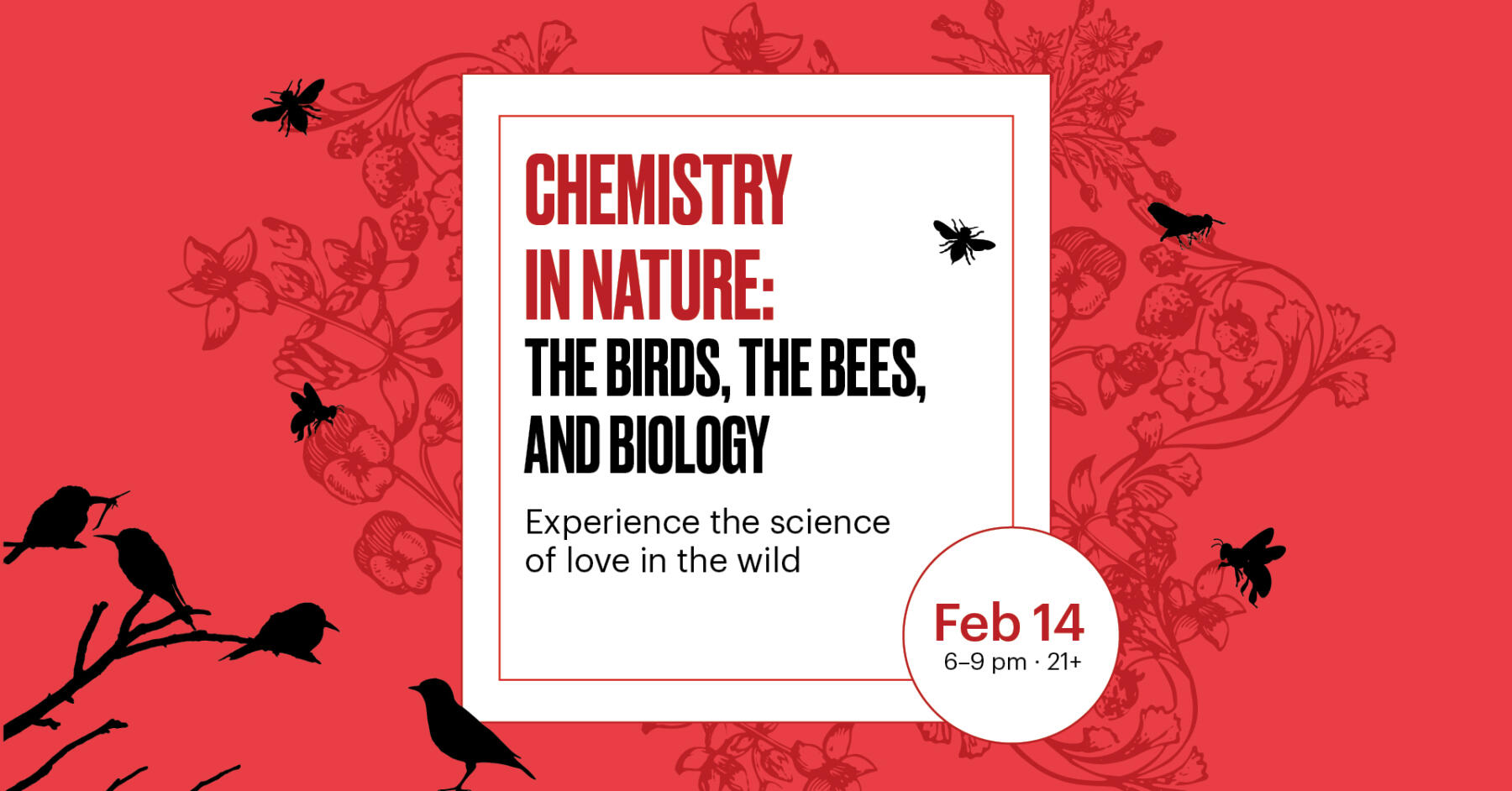 Valentines2026_email_header