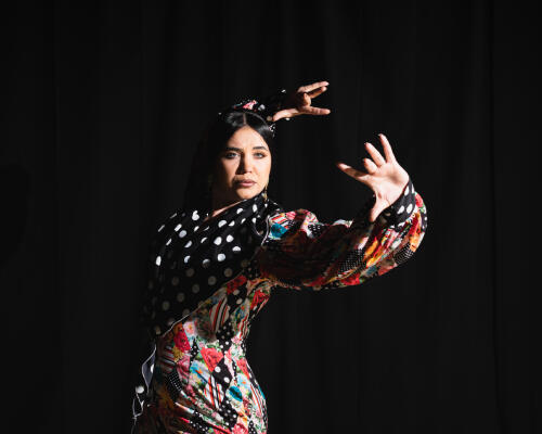 Chicago Flamenco Festival 2026. Irene Morales Raw
