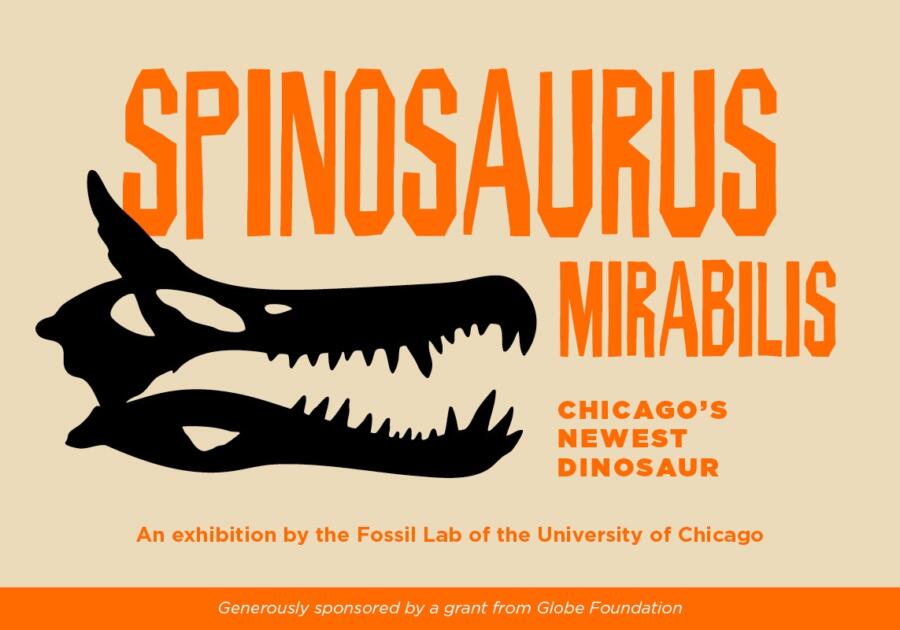 “Unicorn” Spinosaurus Unveiled!