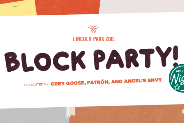 Adults Night Out: Block Party at Lincoln Park Zoo