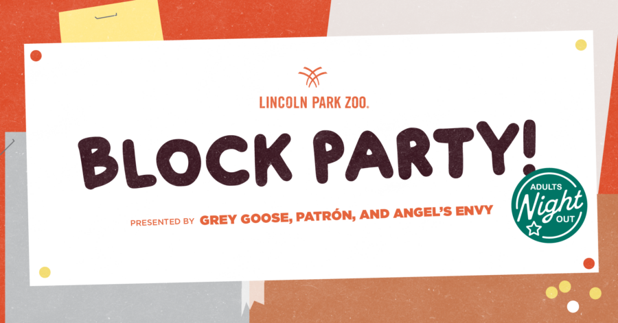 Adults Night Out: Block Party at Lincoln Park Zoo