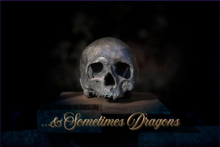 … & Sometimes Dragons