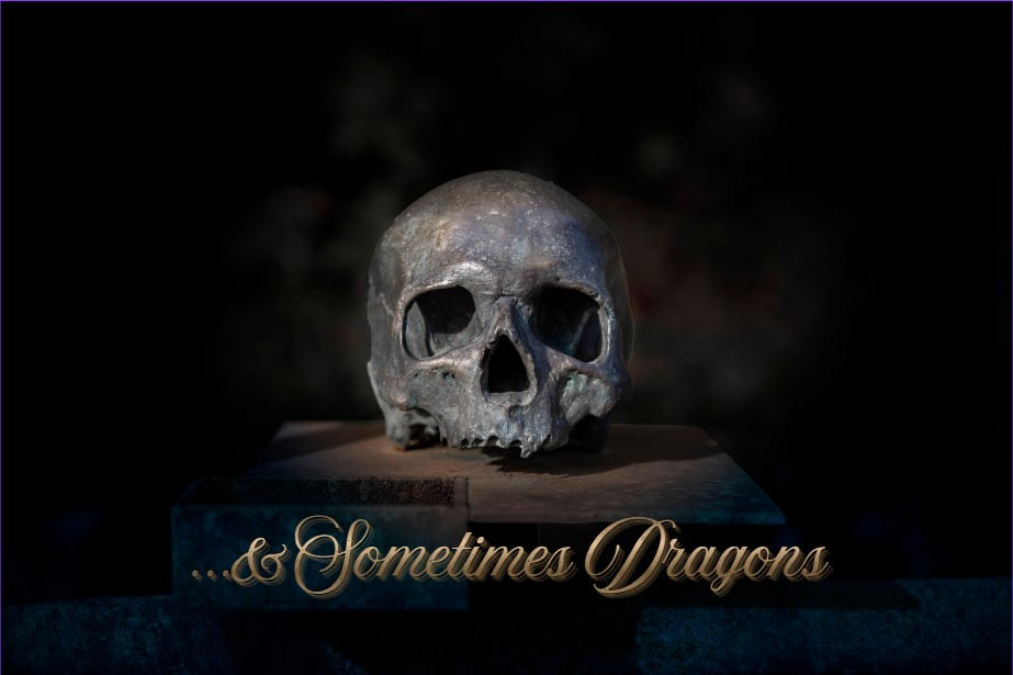 And Sometimes Dragons Image 1