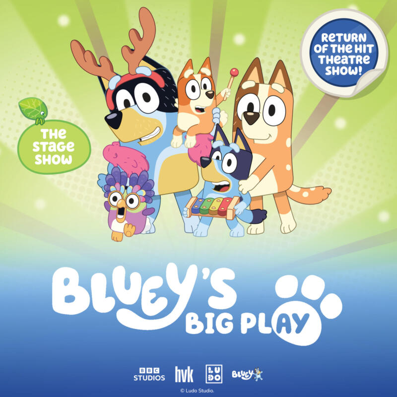 Bluey’s Big Play
