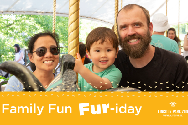 Family Fun Fur-iday at Lincoln Park Zoo