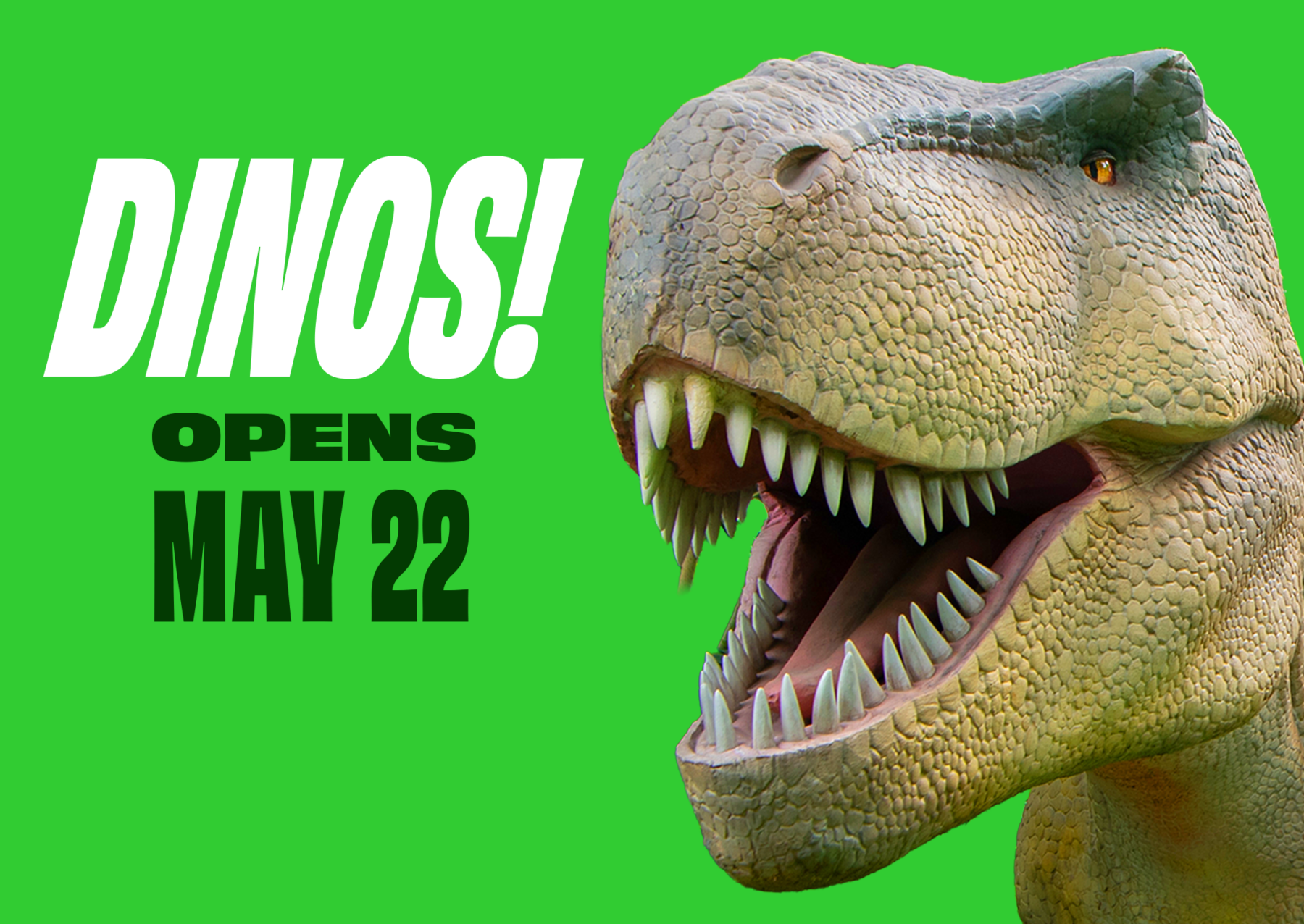 New_Dinos_for_website