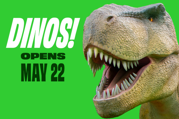 Dinos!