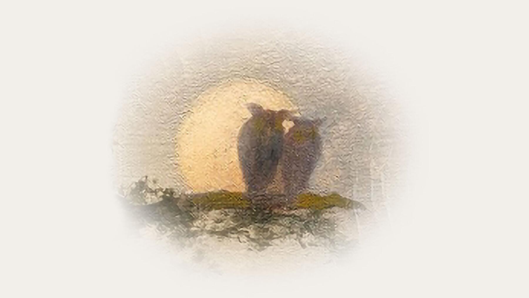 Paul Simon – A Quiet Celebration