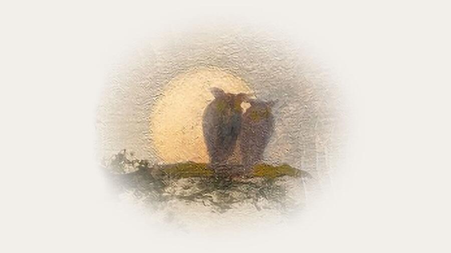 Paul Simon Live In Concert