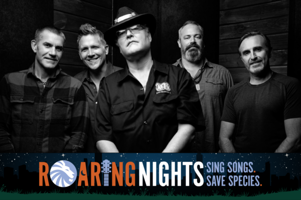 Blues Traveler at Brookfield Zoo Chicago