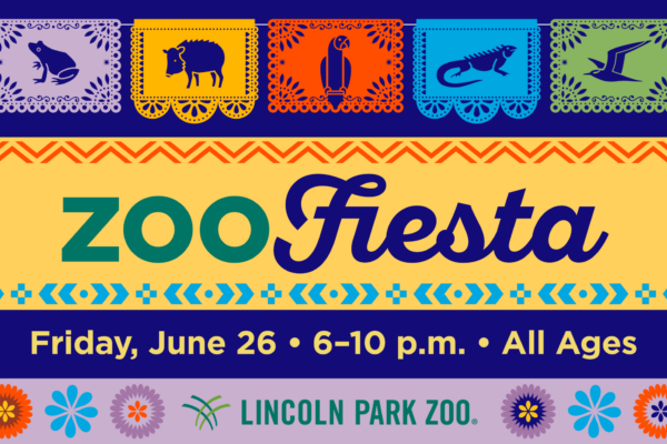 Zoo Fiesta