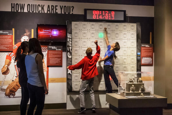 Chicago Sports Museum