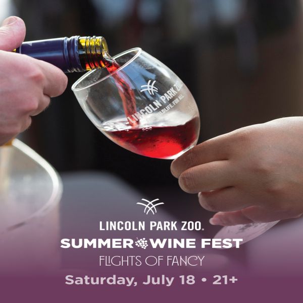 Summer Wine Fest: Flights of Fancy at Lincoln Park Zoo