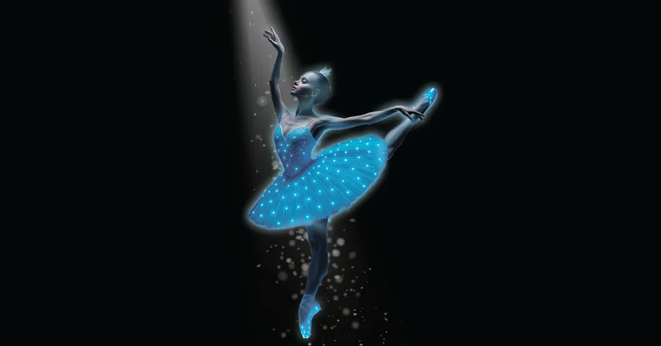 Swan Lake Symphony of Lights