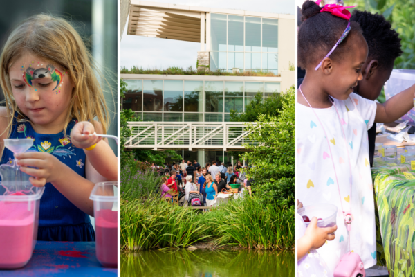 Summer Nature Fest