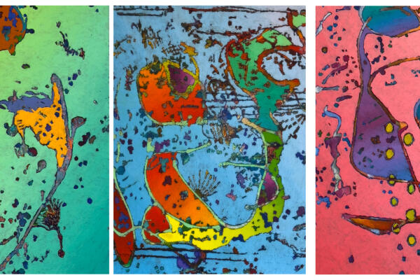 Evanston Art Center: Denise Presnell | Unrestrained Ambiguity