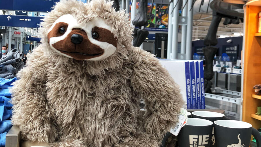 A display of merchandise including a plush sloth at the Field Museum Store at O'Hare International Airport in Chicago