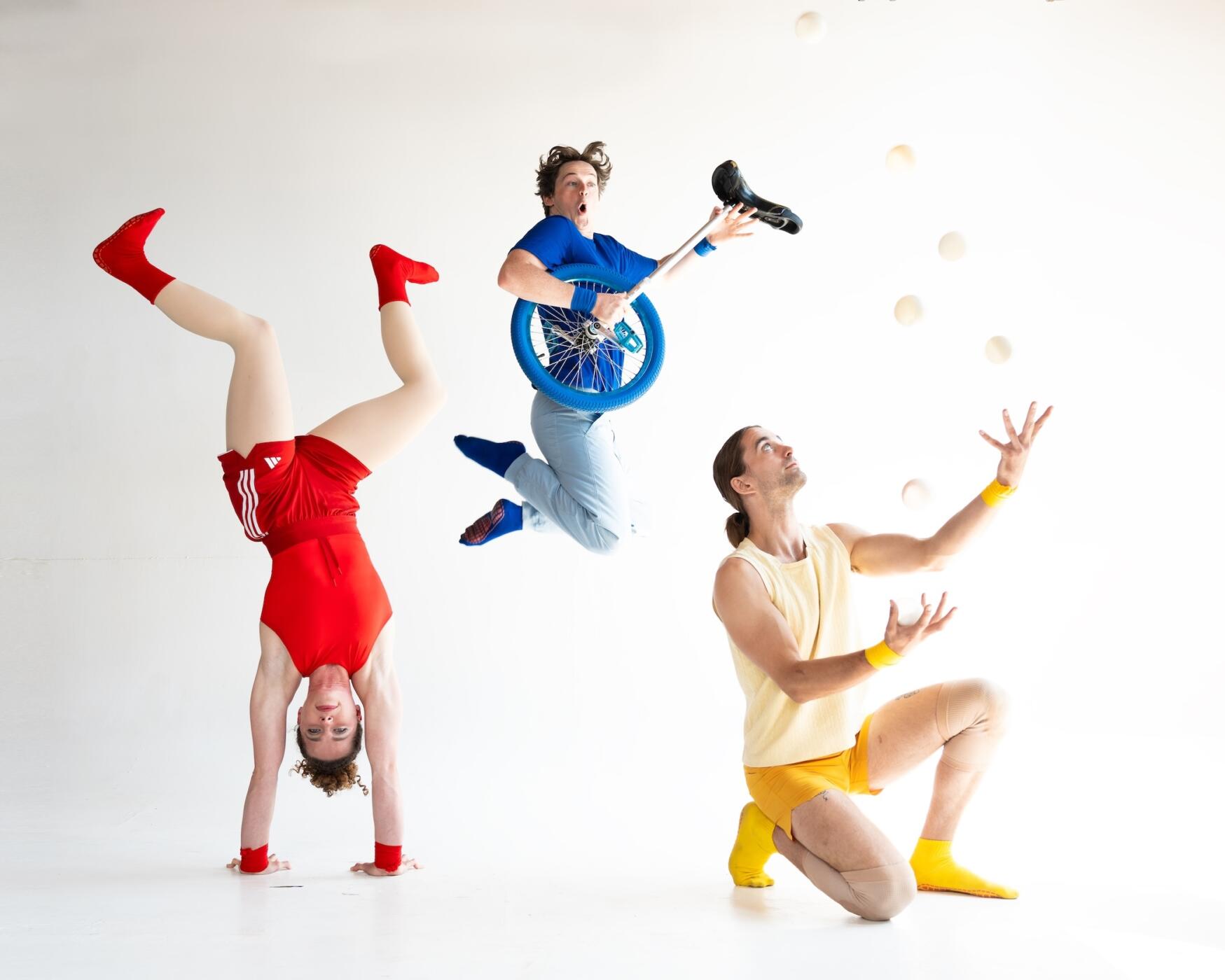 PhysicalFestival_2026_5