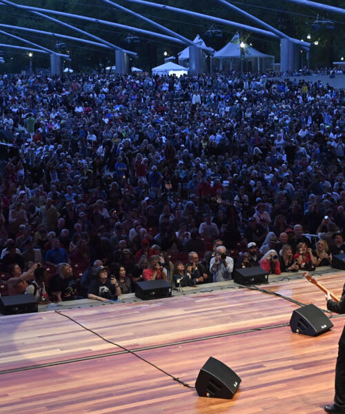 Chicago Blues Festival
