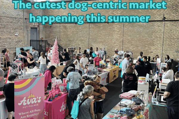5th Annual Summer Wag N’ Shop