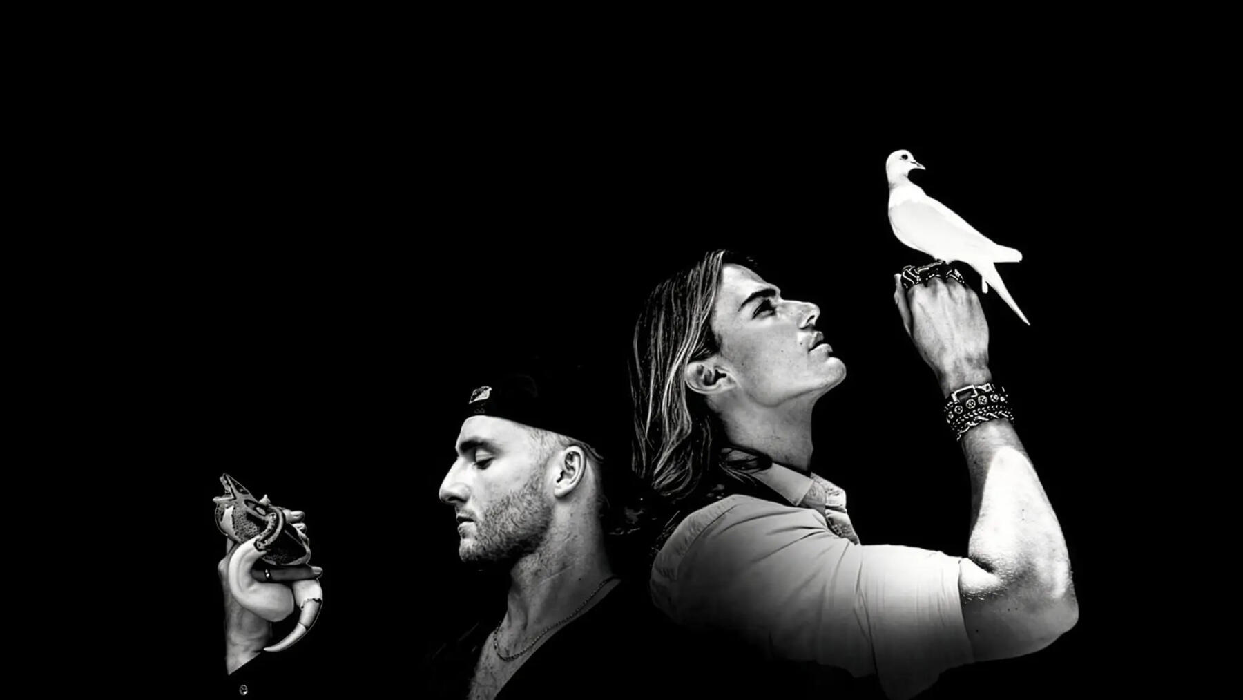 VOILA – Moonbloom Tour