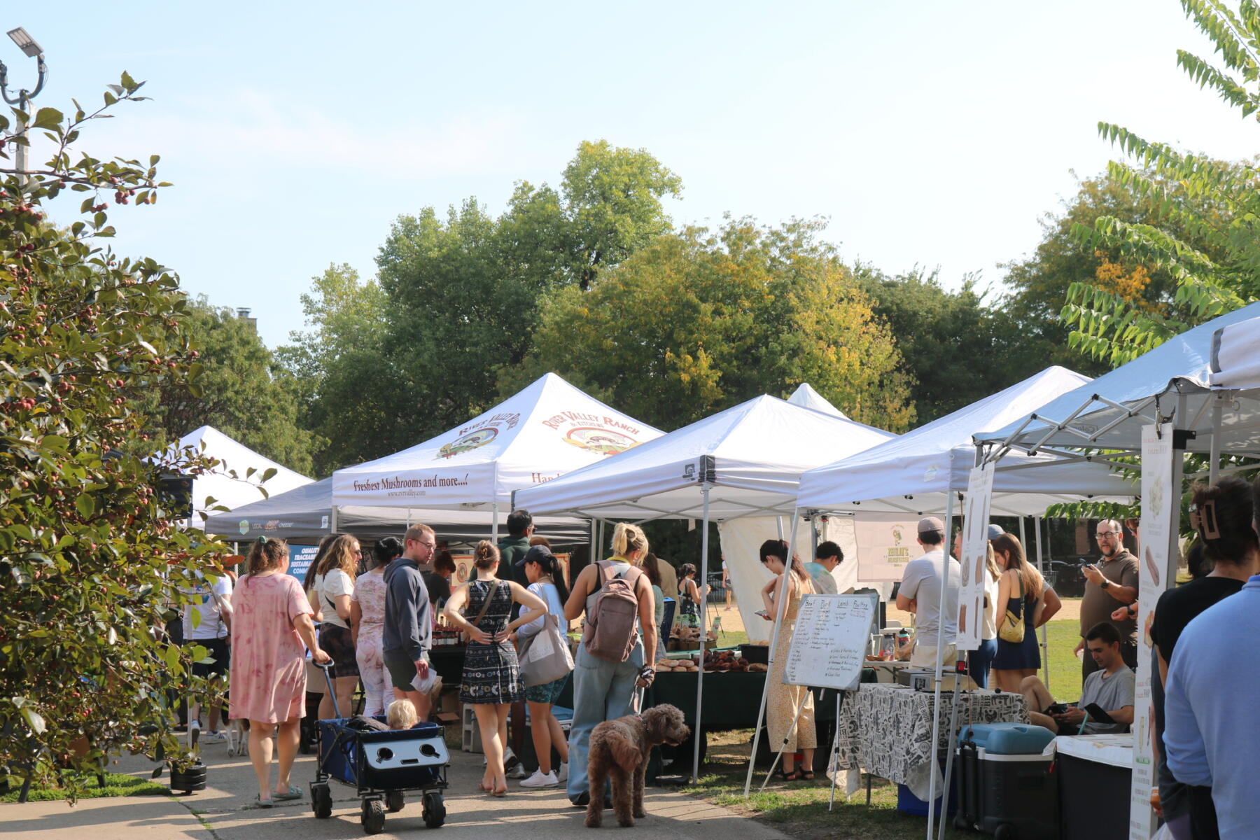 thursday market