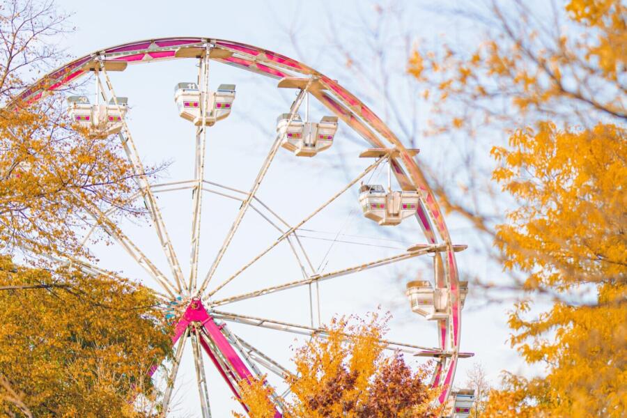 Fall Fest at Lincoln Park Zoo