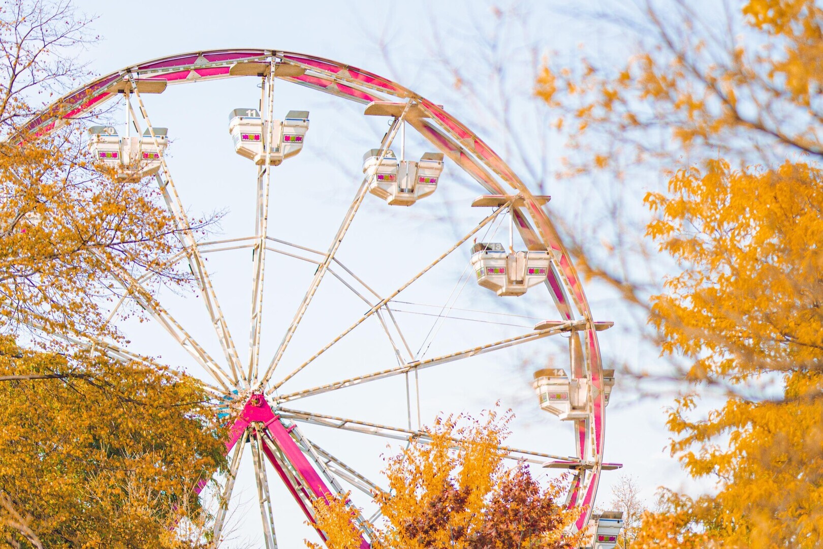 20221023_KScott_Fall_Fest_198-cropped