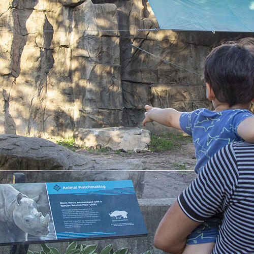 Always see something new at Lincoln Park Zoo