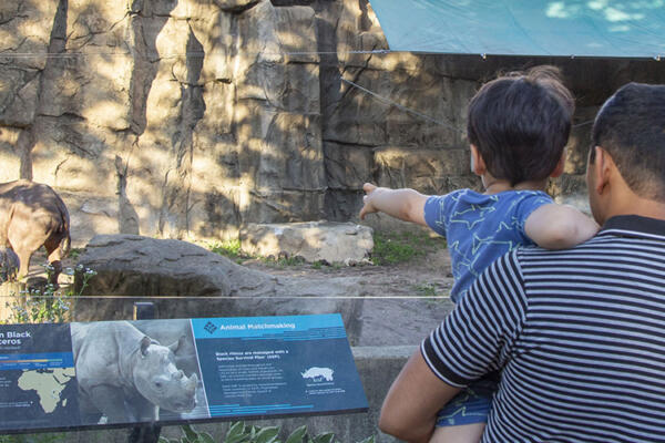 Always see something new at Lincoln Park Zoo