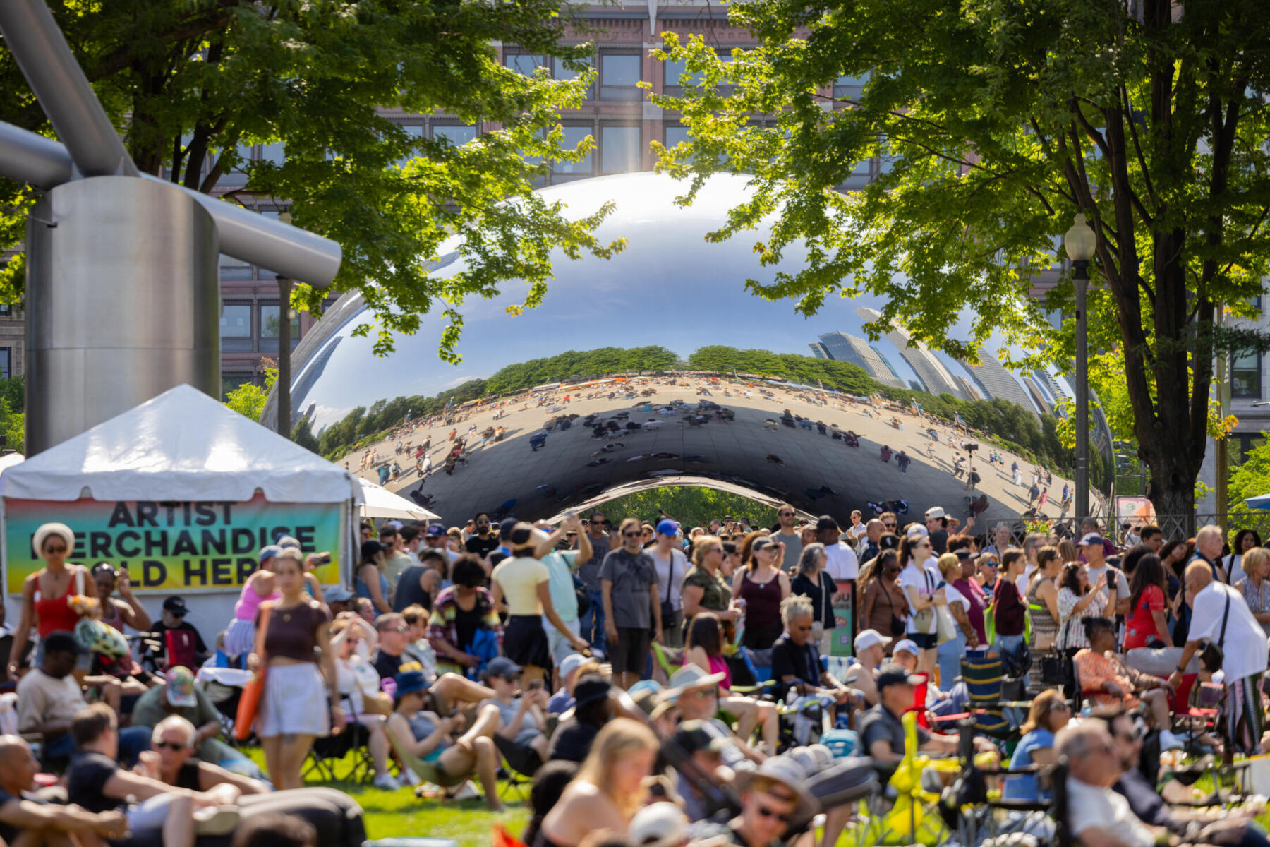 The crowd at the Chicago Blues Festival