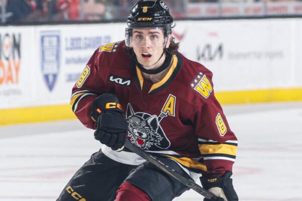 Chicago Wolves Hockey