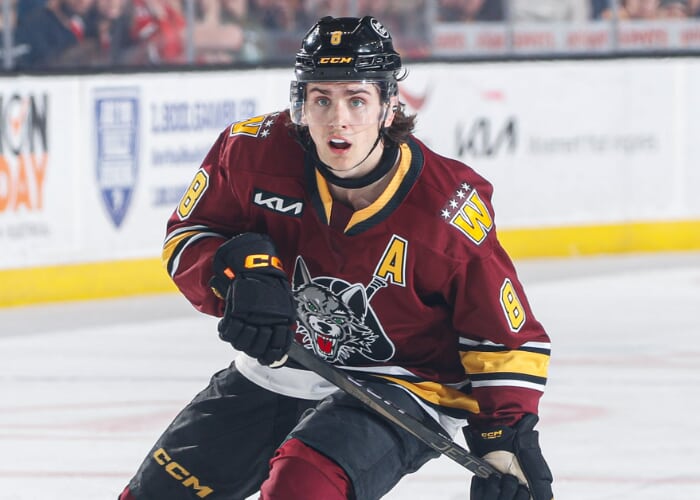 Chicago Wolves Hockey