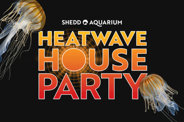 Heatwave House Party at Shedd Aquarium