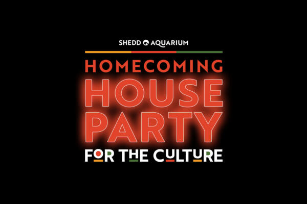 Homecoming House Party at Shedd Aquarium
