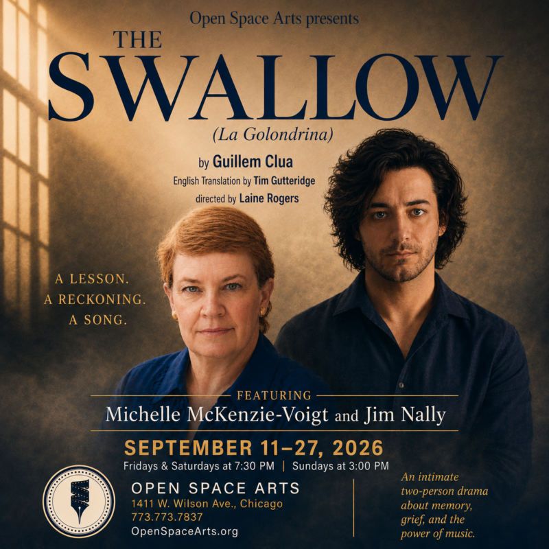 The Swallow