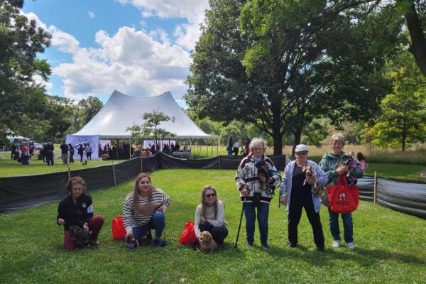Great American Dog Show