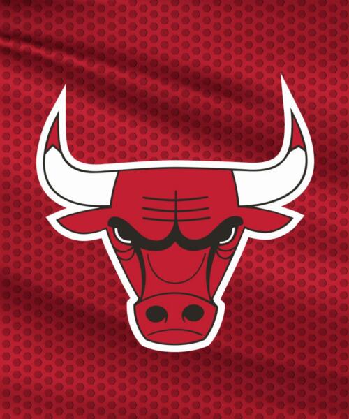 Chicago Bulls vs. Washington Wizards