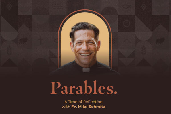 Father Mike Schmitz – Parables: A Time of Reflection